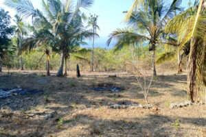 disewakan-tanah-strategis-view-laut-adegan-kawan-ped-nusa-penida