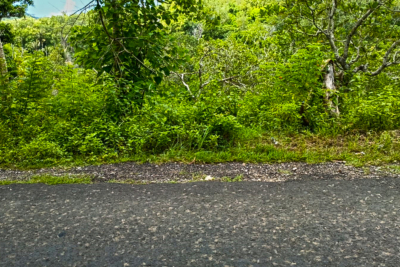 Sewa Tanah Strategis Jalan Utama Nusa Penida